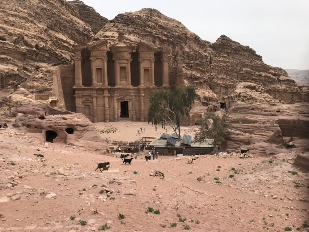 El Monasterio de Petra visto desde lo alto, con cabras cruzando la explanada